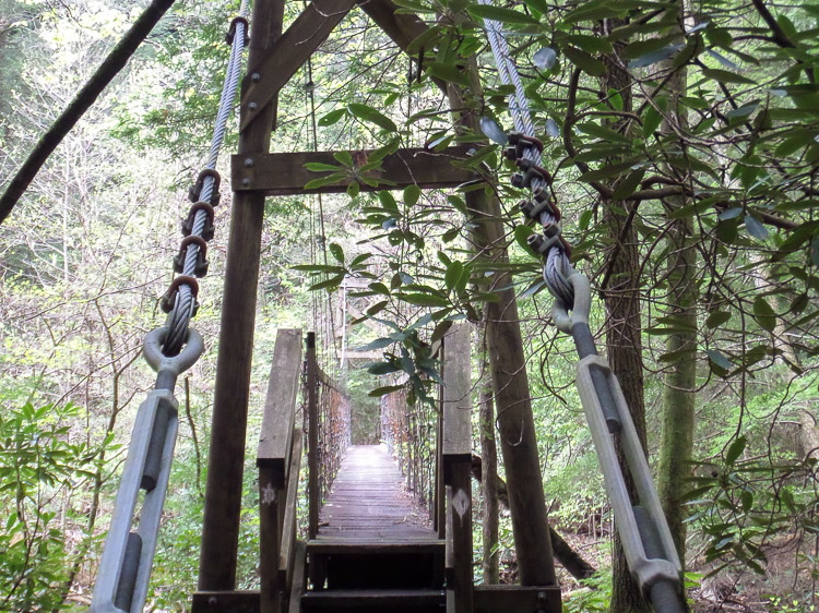 Suspension bridge